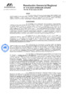 Vista preliminar de documento RGR GRGRD 015-2025