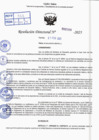 Vista preliminar de documento R.D N° 308-2025