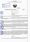 Vista preliminar de documento R.D N° 309-2025