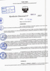 Vista preliminar de documento R.D N° 310-2025