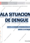 Vista preliminar de documento 4753423-sala-situacional-01-hejcu-dengue
