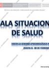 Vista preliminar de documento 4753423-sala-situacional-hejcu-s-e-06-25