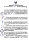 Vista preliminar de documento RDR N°173-2025-06-03-2025