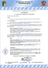Vista preliminar de documento FE DE ERRATAS AC10-2025-cmpf