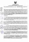Vista preliminar de documento RDR N°177-2025-07-03-2025