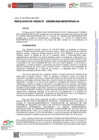 Vista preliminar de documento RU-0068-2025-MIDIS-PNPAIS-UA