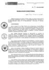 Vista preliminar de documento 034-2025-INSN-DG