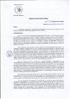 Vista preliminar de documento R.D 044-2025-DG