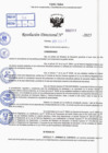 Vista preliminar de documento R.D N° 312-2025