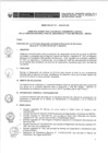 Vista preliminar de documento Anexo N° 011-2014-DV-SG