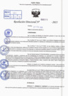 Vista preliminar de documento R.D N° 313-2025