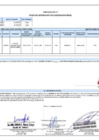 Vista preliminar de documento 00112.1. ANEXO 1 - RD N° 000112-2025-PNVR Informe de liquidación final