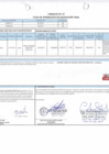Vista preliminar de documento 00115.1. ANEXO 1 - RD N° 000115-2025-PNVR Informe de liquidación final