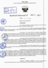 Vista preliminar de documento R.D N° 315-2025
