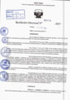 Vista preliminar de documento R.D N° 316-2025