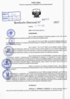 Vista preliminar de documento R.D N° 317-2025