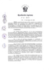 Vista preliminar de documento 040-2025-IN