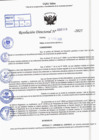 Vista preliminar de documento R.D N° 319-2025