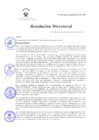 Vista preliminar de documento RD Nº 38-2025-DG-INSM "HD-HN"
