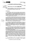 Vista preliminar de documento RDR 0130-2025