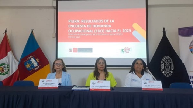 encuesta que ejecuta anualmente el Ministerio de Trabajo y Promoci贸n del Empleo en empresas de 20 a m谩s trabajadores con la finalidad de conocer la demanda laboral futura y contribuir a orientar la oferta formativa.