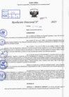 Vista preliminar de documento R.D N° 323-2025