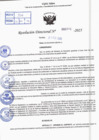 Vista preliminar de documento R.D N° 324-2025