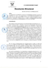 Vista preliminar de documento RD Nº 40-2025-DG-INSM "HD-HN"