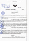 Vista preliminar de documento R.D N° 330-2025