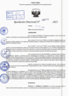 Vista preliminar de documento R.D N° 332-2025
