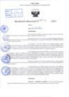 Vista preliminar de documento R.D N° 336-2025