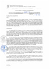 Vista preliminar de documento RG. 000128-2025-GSATDE