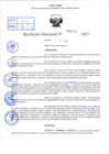 Vista preliminar de documento R.D N° 338-2025