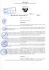 Vista preliminar de documento R.D N° 339-2025