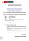 Vista preliminar de documento Proceso CAS N° 028-2025-DAE (resultados de requisitos mínimos)