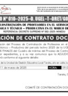 Vista preliminar de documento 10 ADJUDICACIÓN