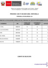 Vista preliminar de documento RESULTADOS PRELIMINAR CAS 004-2025-PERSONAL DE SEGURIDAD_removed