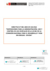 Vista preliminar de documento Anexo N° 048-2025-DV-GG