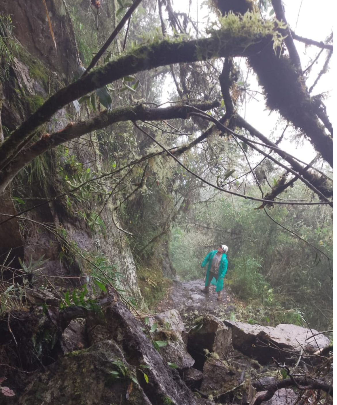 Cusco: Ministerio de Cultura dispone cierre temporal de acceso a la montaña de Machupicchu por causa de derumbe