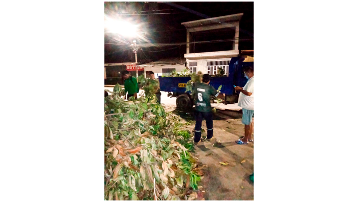 Continuamos trabajando en la ciudad de Tarapoto.
