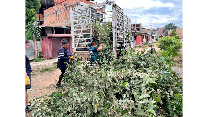 Jornada de limpieza, poda descolmataci贸n de cunetas y sistemas de drenajes en el barrio Primavera - Tarapoto.
