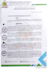 Vista preliminar de documento RESOLUCIÓN N° 019-2025-MDCH-ALC