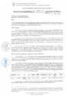 Vista preliminar de documento RG. 000133-2025-GSATDE