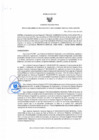 Vista preliminar de documento Resolucion Gerencial Regional  313-2025
