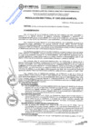 Vista preliminar de documento RES. REC. 0203-2025