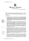 Vista preliminar de documento RD 310-2025-PRODUCE-DS-PA