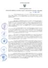 Vista preliminar de documento GRDS.107