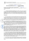 Vista preliminar de documento RG. 000138-2025-GSATDE