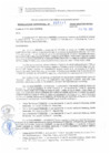 Vista preliminar de documento RG. 000141-2025-GSATDE