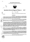 Vista preliminar de documento RDR 0131-2025